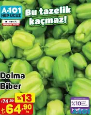 DOLMA BİBER KG fiyat ve kampanya bilgisi